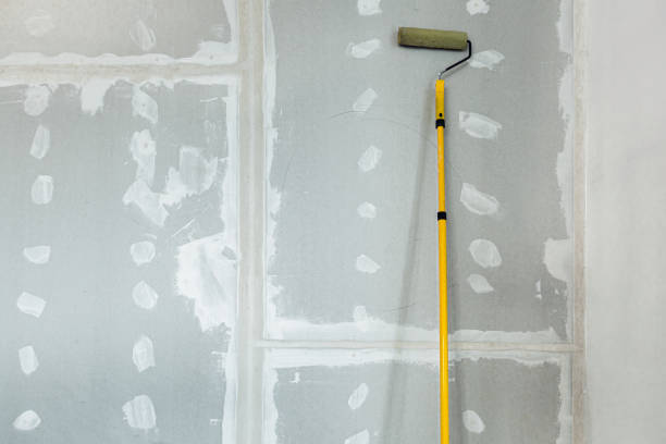 Best Environmental Consulting for Mold Prevention  in Round Lake Heights, IL