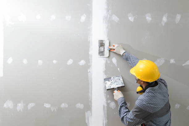 Best Forensic Mold Investigation  in Round Lake Heights, IL