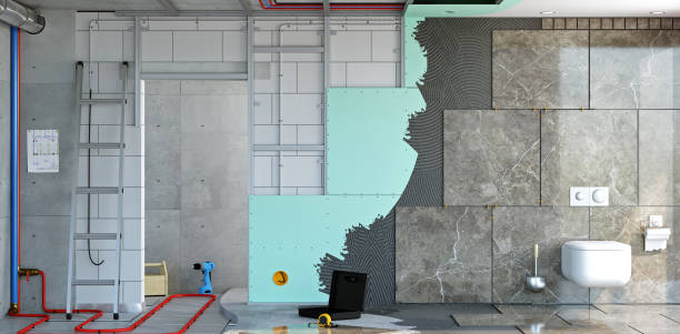 Best Mold Damage Restoration  in Round Lake Heights, IL