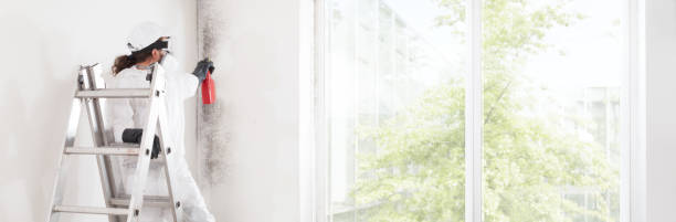 Best Mold Removal for HVAC Installations  in Round Lake Heights, IL