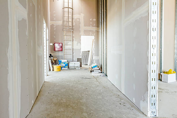 Best Airborne Mold Testing  in Round Lake Heights, IL