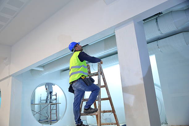 Best Mold Prevention Services  in Round Lake Heights, IL