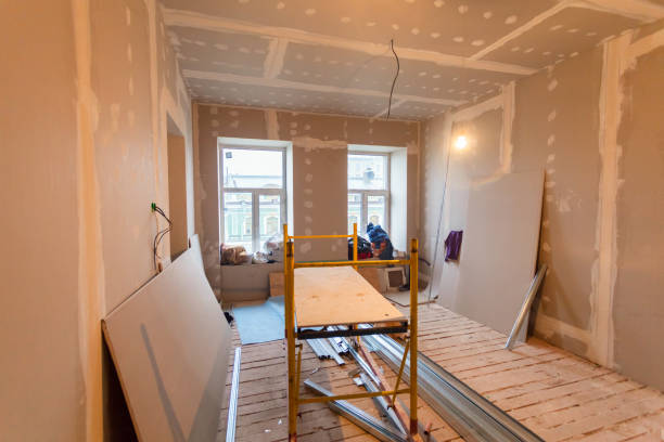 Professional Mold Removal in Round Lake Heights, IL